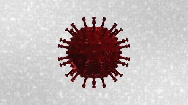 新型コロナウイルス